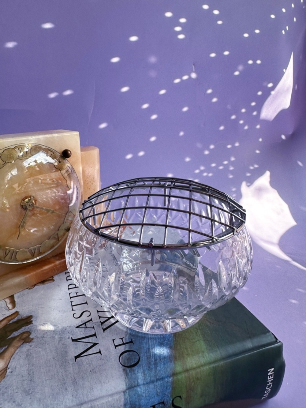 Clear Cut MCG Metropoliton Glass Flower Frog Bowl with Metal Grid